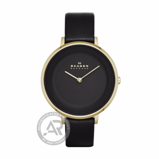 Skagen ditte 2025 ladies watch