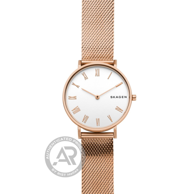 Skagen ladies 2024 mesh bracelet watch