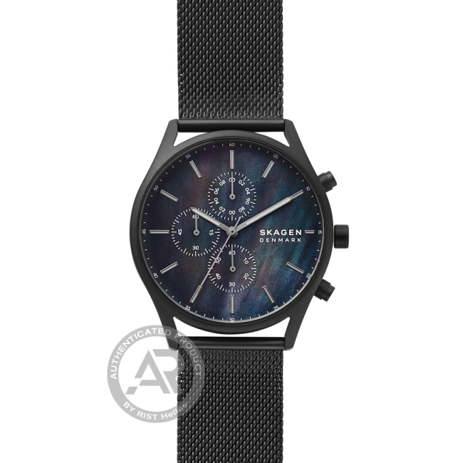 Skagen skw6651 best sale