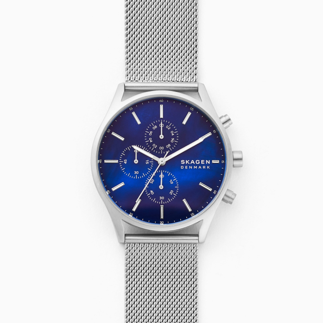 Skagen skw6279 2024